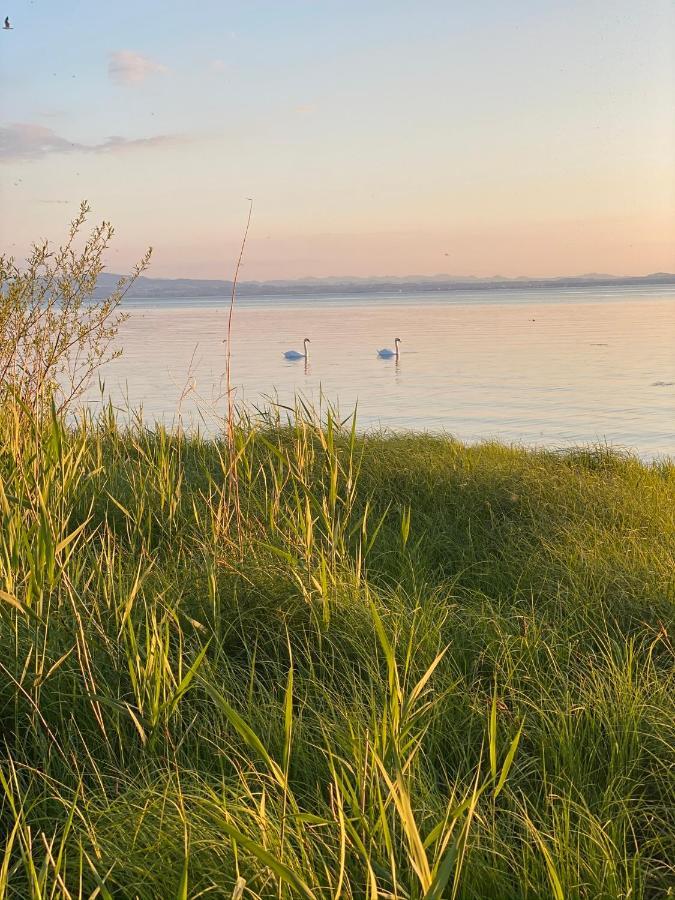 Ferien-Apartment Eisvogel Im Naturschutzgebiet Mit Privatstrand FDH Екстериор снимка