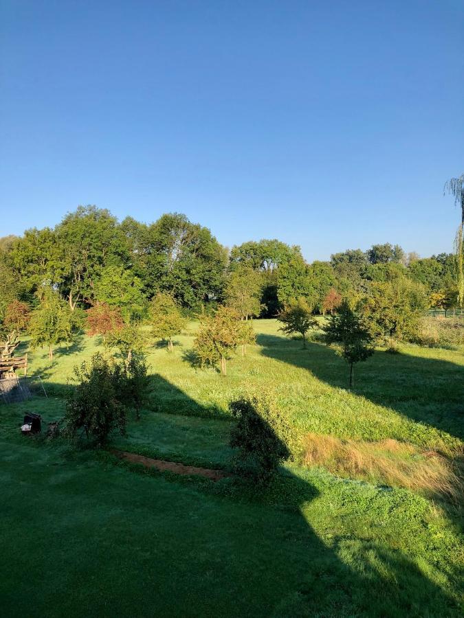 Ferien-Apartment Eisvogel Im Naturschutzgebiet Mit Privatstrand FDH Екстериор снимка